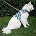 Yizhi Miaow Cat Harness and Leash for Walking Escape Proof, Adjustable Cat Vest Harness, Padded Stylish Cat Walking Jackets, Polka Dot Blue, X-Small