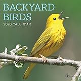2020 Backyard Birds Mini Calendar by 