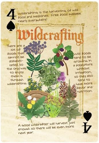 hugelkultur card