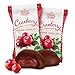 Dark Chocolate Covered Cranberries, 6 Oz Bag