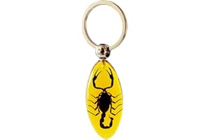 FlyingBean KeyChain With Real Insect Specimens, Animal Taxidermy Collection, KeyRing Crafts