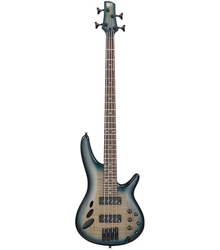 Amazon.com: Ibanez SRD905 Bass Workshop 5-String Right