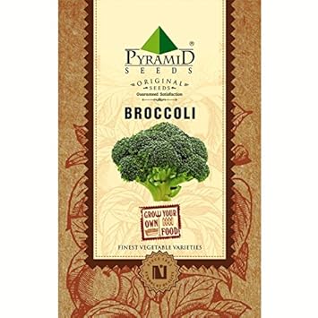 Pyramid Broccoli Seeds (400mg, Green)