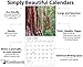 Goldistock -