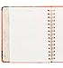 Rifle Paper Co 17 Month Agenda 2017 (Planner) (Large, Scarlett Birch)