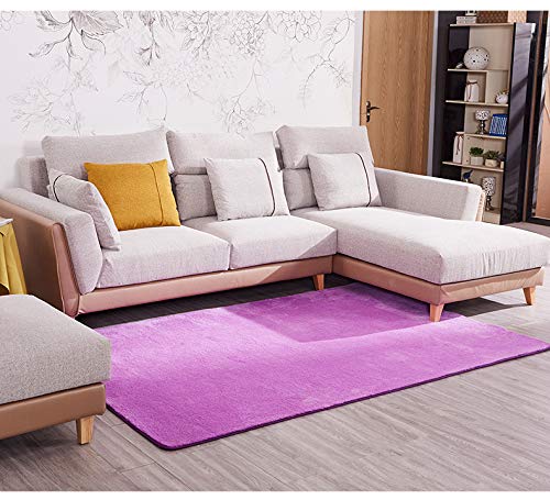 Hryp Tappeto Per Soggiorno Camera Da Letto Semplice E