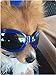 Pet Dog Sunglasses Water-Proof Multi-Color Protection Goggles Updated Version (D)