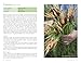 Veg Patch: River Cottage Handbook No.4