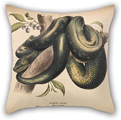 MaSoyy 20 X 20 Inches / 50 By 50 Cm Oil Painting Helena Forde - Diamond Snake, Morelia Spilotes Pillow Covers ,each Side Ornament And Gift To Him,coffee House,living Room,car,saloon,floor