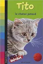 Tito, le chaton pataud