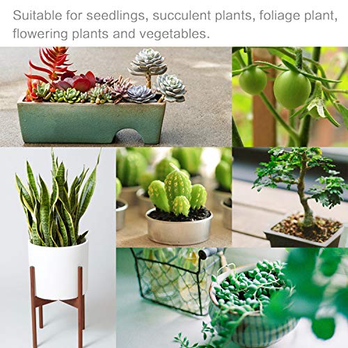 Grow Lights for Indoor Plants - A Plus LED Indoor Plant Lights, Dual Head Full Spectrum Sunlike Grow Light, Double Switch Flower Lamp, with Replaceable E27 Bulb, Professional for Seedling - Thumbnail 5