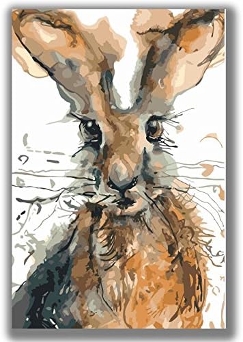 Diy Oil Painting Paint by number kit Wall Art -Cute Animal Rabbit 16x20inch