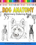 Saunders Veterinary Anatomy Coloring Book, 1e: Amazon.co.uk: SAUNDERS ...