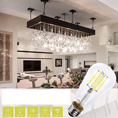 Mastery Mart Dimmable Vintage E26 LED Light Bulb, 5000K Daylight White 5.5W (60 Watt Equivalent), Glass ST21 Antique Edison Style, 500LM, Decorative Filament Bulb, UL and Energy Star, 10 Pack