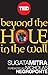Beyond the Hole in the Wall: Discover the Power of Self-Organized Learning (Kindle Single) (TED Books) - Book by Sugata Mitra