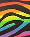 Fit & Fresh Riley Insulated Lunch Bag with Zipper, Rainbow Zebra