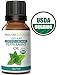 Peppermint Essential Oil (15ml) USDA Certified Organic, 100% Pure by RejuveNaturals. Promotes Clear Breathing & Digestive Health. For Headaches, Nausea, Diffusion, Internal or Topical Use. Food Grade