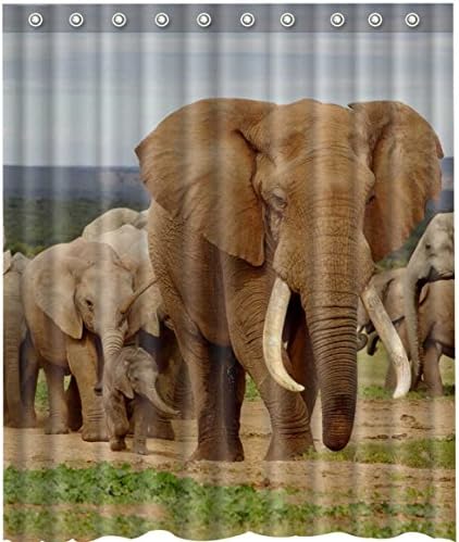 Shower Curtain W Elephant