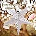 WPKLTMZ Paper Star Lantern Lampshade Hanging Christmas Xmas Day Decoration for LED Light Wedding Birthday Party Home Decor 8 Pcs 28cm Hollow Out Design (Lights not Included) (Silver)