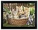 Kittens 3D Holographic Framed Picture - Holographic 3D Print of a kittens sitting in a basket of flowers. Framed and ready to hang. Measures 17.5