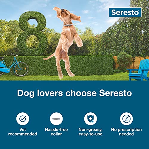Seresto Large Dog Flea & Tick Treatment & Prevention