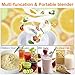 Portable Blender,【2019 Newest】Pendali Personal Size Smoothie Juice Blender Fruit Mixer Six Blades in 3D, 480ml Glass Juicer Cup with 4000mAh USB Rechargeable for Travel Office, (FDA BPA Free)