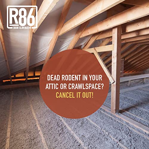 R86 Industrial AllOut Odor Eliminator, Removes Dead Animal Odor, Skunk