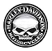 Harley-Davidson Decal, Silver Willie G Skull Logo, X-Large 29 Inch CG4331