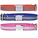 GoTags Personalized Reflective Waterproof Dog Collar with Stainless Steel Slide-On Dog ID Tag Nameplate, Extra Durable BioThane Dog Collar Resistant Dirt, Oils and Moisture, Odor-Proof