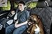 Parachute Pet Bench Car Seat Protector For Up To 3 Seatbelts With Removable Zipper - Non-Slip Backing & A Lifelong Promise (Black Zipper). Also Available In Black Bench.