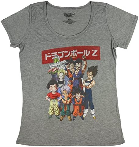 Rex Distributor Dragon Ball Z Juniors Distressed Kanji Group T-Shirt Tee (X-Small)