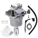 Dosens 799727 Carburetor Replacement for Briggs & Stratton 799727 591731 593514 697141 697190 698445 699109 699937 791858 791888 792171 792358 793224 790418 796109 794294 699916 593433