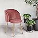 EGGREE Mid-Century Modern Accent Living Room Chair Upholstered Velvet Armchair Kitchen Dining Chair with Solid Steel Leg for Living Room Bedroom Reception Room Accent Furniture,Rose Pink