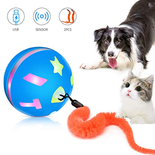 motion ball for cats