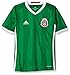 adidas Boys' Soccer Youth Mexico Jersey, Green/Poppy, Large