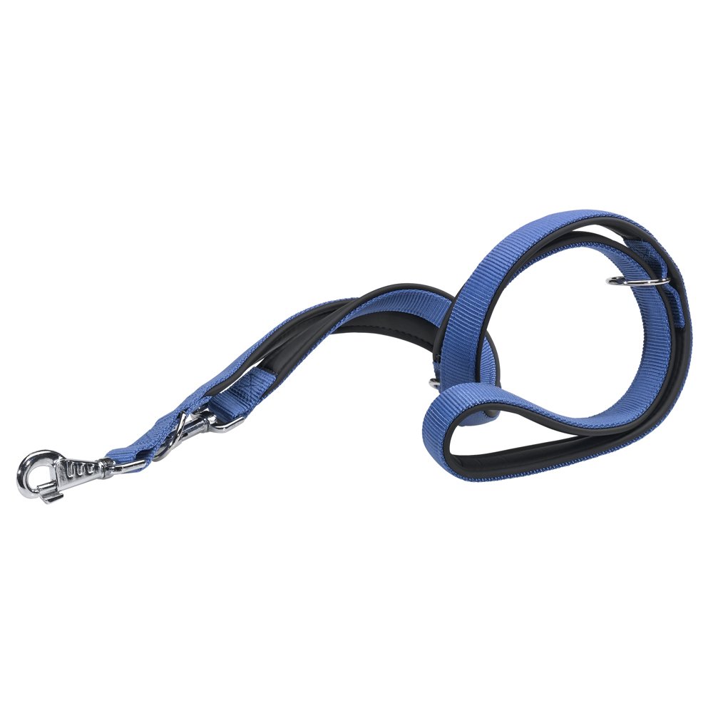Ferplast DAYTONA GA Extra Strong Training Dog Lead - 3 Adjustable Lengths - Soft Padded Handle - Anti-Abrasion - Italian Design - 200 x 2 cm, Blue