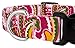 Country Brook Petz – Pink Paisley Deluxe Dog Collar (Medium)thumb 4