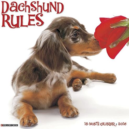 2016 Just Dachshund Rules Wall Calendar Calendar – Wall Calendar, August 16, 2015