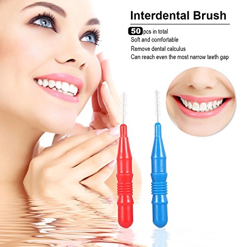 2 Interdental+River+Lake+Toothpick+Cleaners