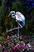 Moonrays 92516 Solar Powered White LED Heron Stake Light