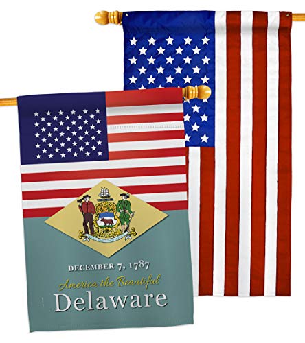 Americana Home & Garden US Delaware House Flag Pack Regional States American Te…