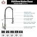 Stainless Steel Spring Pull Down Kitchen Sink Faucets Brushed Nickel