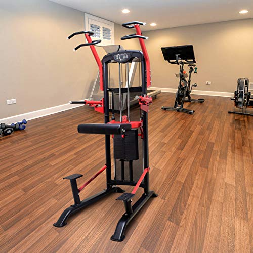 MiM USA Weight Assisted Chin and Dip Machine Dip Chin Assist Arms and Ab Workout Equipment