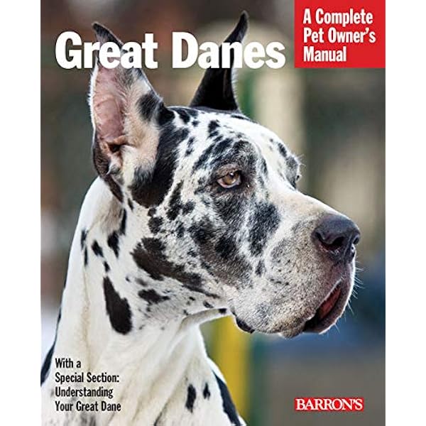 great dane puppy essentials