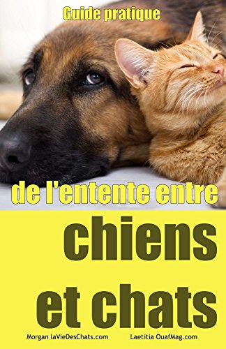 Guide Pratique De Lentente Entre Chiens Et Chats French