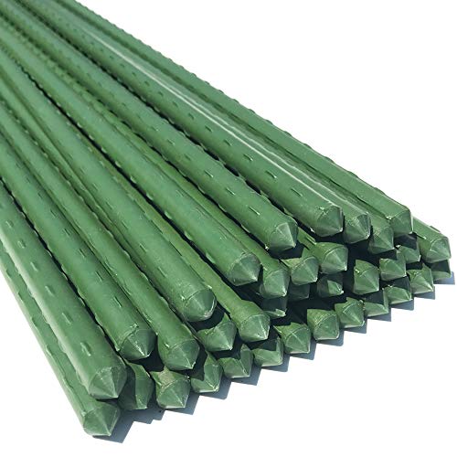 WAENLIR Garden Stakes 72 Inch 6ft Sturdy Plant Sticks Support Tomato 
