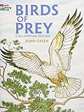 Birds of Prey Coloring Book by John Green