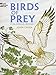 Birds of Prey Coloring Book by John Green