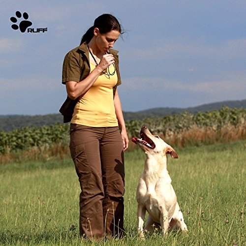 Pet Supplies, Dogs, Training & Behavior Aids, Dog Whistles
