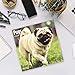 2020 Pugs Wall Calendar by Bright Day, 16 Month 12 x 12 Inch, Cute Dogs Puppy Animals Adorable Canine